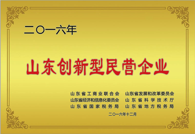 山東創(chuàng)新型民(min)營企業(yè).jpg