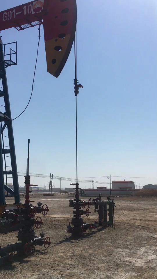 1569030690115269.jpg 圖片4.jpg